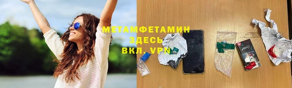 прущие грибы Осинники